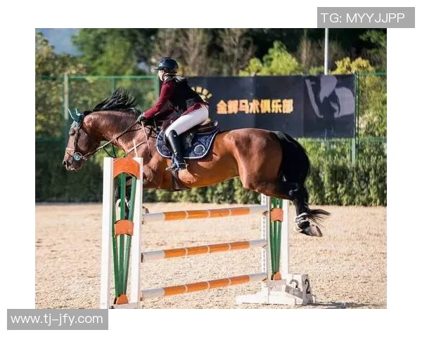 世界青少年马术锦标赛在美国米尔顿盛大开幕吸引全球年轻骑手参与竞技